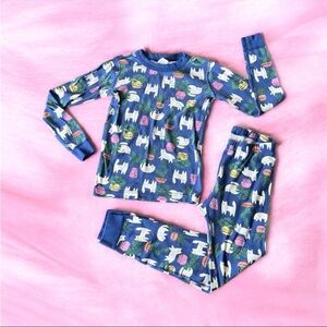 HANNA ANDERSSON Long John Pajama Set In Organic Cotton Cats & Cactus Girls 10